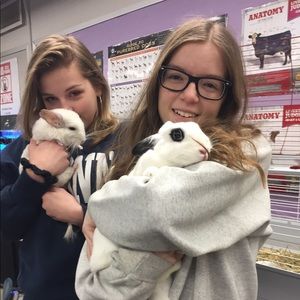 Meet your Posher, Ericka